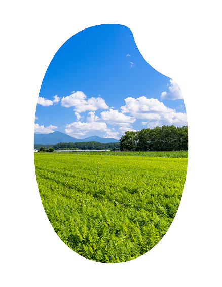 宮城米の写真