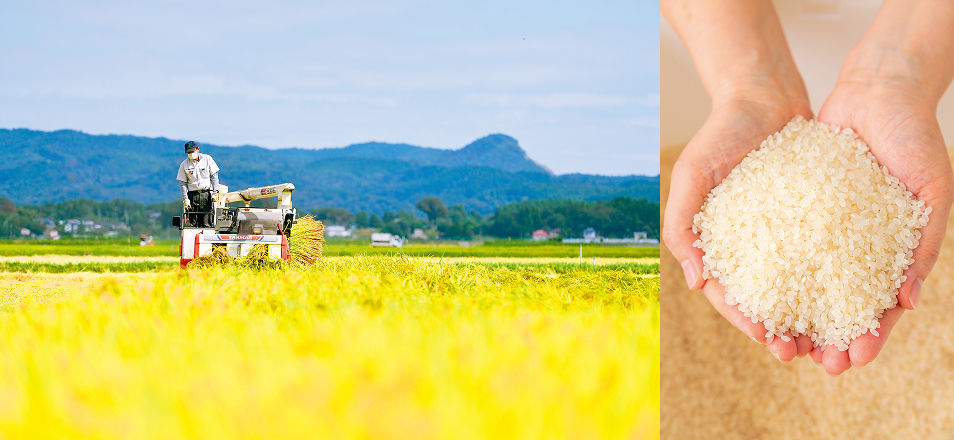 3年連続No.1